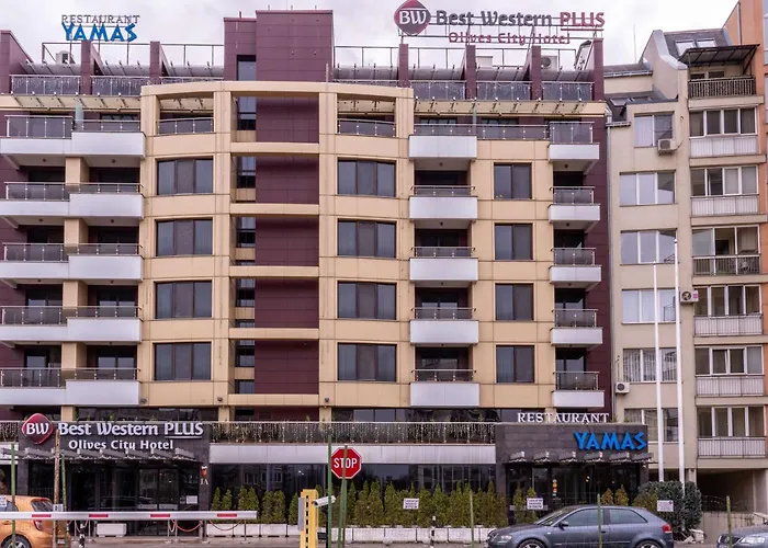 Western Olives - Free Pool & Parking